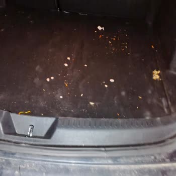Avec Rent A Car Temizlik Ücreti Kesti!
