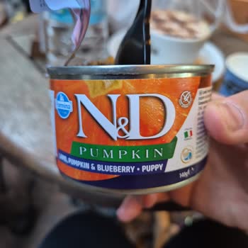 Son Kullanma Tarihi 2028 Olan Konserve İçinde Küflenme Ve Şüpheli Parçalar