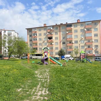 Şükrüpaşa Mahallesi Park Ve Spor Alanında Güvenlik Ve Bakım Eksikliği