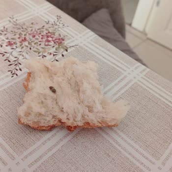 Yeni Çağdaş Market’te Fare Dışkısı İçeren Ekmek Ve Sağlık Riski