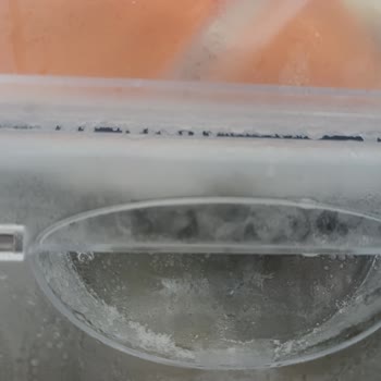 Garanti Kapsamındaki Derin Dondurucuda Sürekli Buzlanma Ve Ücretli Servis Talebi