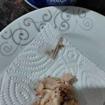 Dardanel Ton Konserve İçinde Balık Kemiği