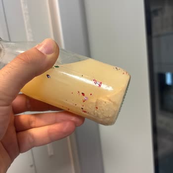 File Market Shake Me İçecekte Yabancı Madde!