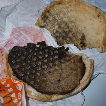 Yanık Burger Ve Kirli Izgara Hijyen Sorunu