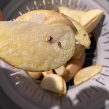 Şok Market’te Dondurulmuş Patates Ürünün İçinde Böcek Bulunması Gıda Güvenliği Sorunu