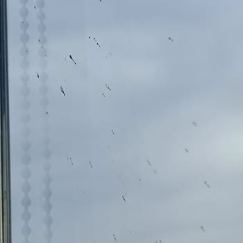 Balkon Katlanır Camda Çıkan Lekeler Ve Yetersiz Isı Yalıtımı İçin Değişim Ve İade Talebi