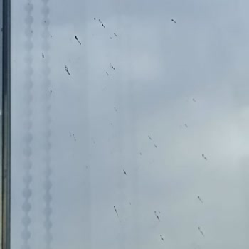 Balkon Katlanır Camda Çıkan Lekeler Ve Yetersiz Isı Yalıtımı İçin Değişim Ve İade Talebi