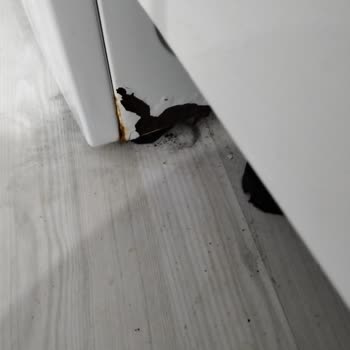 Bim Çamaşır Makinesinde Boya Soyulması Ve Lastik Kireçlenmesi Sorunu