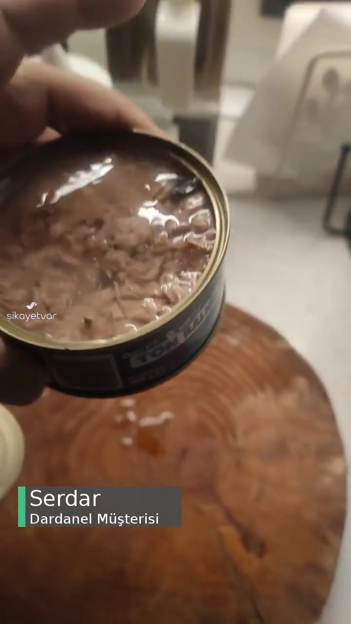 Dardanel Ton Balığı mı Yoksa Başka Bir Şey Mi? videonun kapak resmi