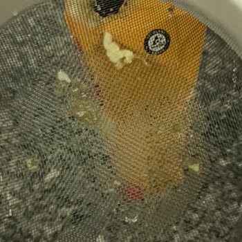 Migros Dimes Kayısı Suyu Kapakta Küf Ve Suda Kağıt Parçaları