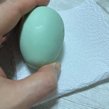 Coco Bulabu Boom Yumurta Çikolatanın İçinden Kıl Çıktı