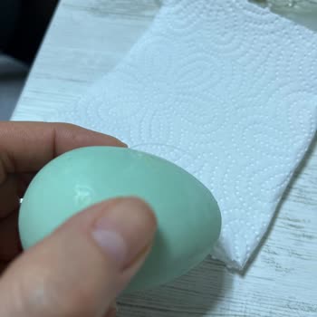 Coco Bulabu Boom Yumurta Çikolatanın İçinden Kıl Çıktı