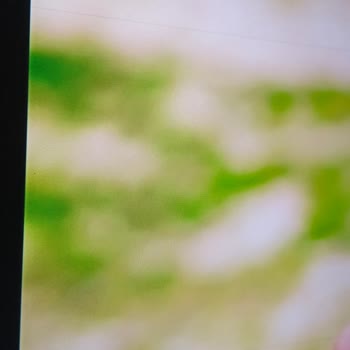 Samsung UE50TU8000U Modelinde Tekrarlayan Ekran Çizgileri Ve Ücretsiz Değişim Talebi