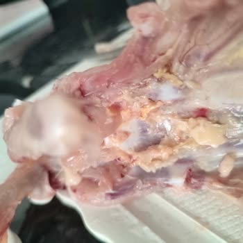 Anpa AVM'de Satılan Lezita Tavuk Ürününde Bozulma Ve Sağlık Riski