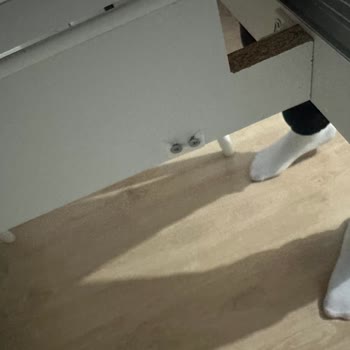Defolu Yatak Odası Takımı Ve Uzun Süreli Teslimat Sorunu