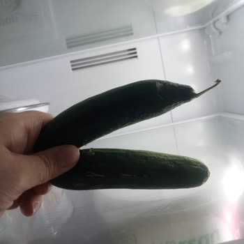 Arçelik Buzdolabının Donma Sorunu Ve Servisin İhmaline Karşı Değişim Talebi