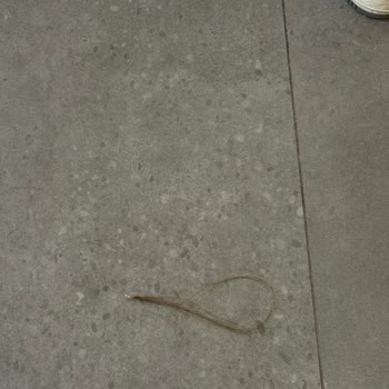 Nişan Günümde Saç Modeli Uygulanmadı Ve Saçlarım Yanıp Koptu