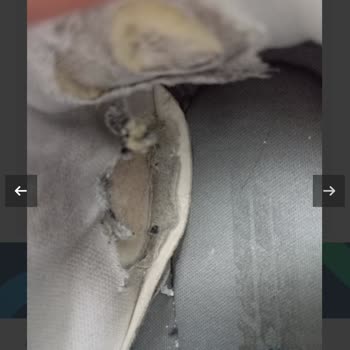 Skechers Ayakkabılarında Kısa Sürede İç Astar Parçalanması Ve Ürün Kalitesi Sorunu