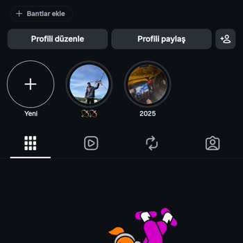 Instagram’da Çoklu Profil Fotoğrafı Özelliği Kayboldu