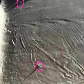 Sözleşmeye Aykırı Boyut Ve Yanıltıcı Donanım, Tasarım Hatası Nedeniyle Tekne Alımında Mağduriyet