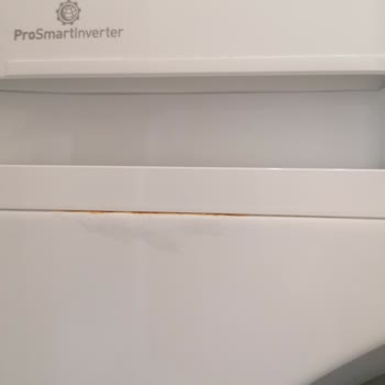 Arçelik Çamaşır Makinesinde Paslanma Sorunu Ve Ürün Değişimi Talebi