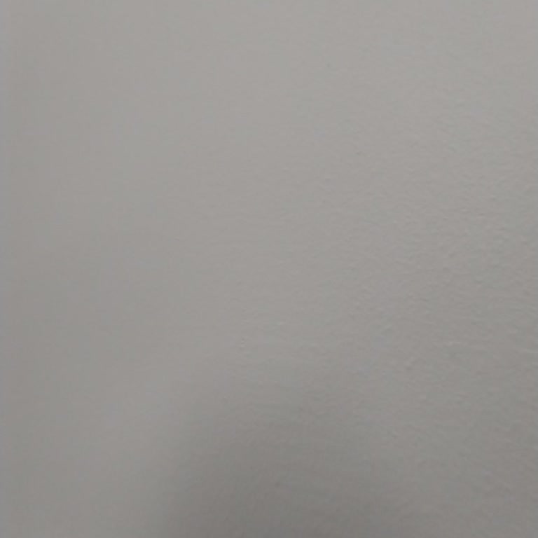Plaka Girişi Hatası Ve Merkez Yetkilisinin Reddi Ödemeyi Engelledi