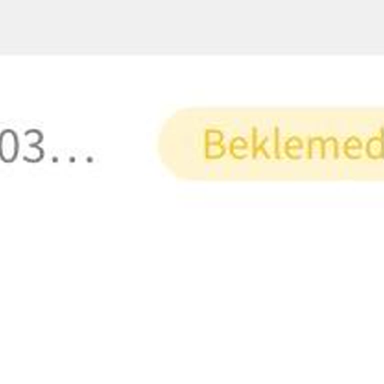 7.000 TL Hızlı Havale Çekimim Hesaba Yatırılmadı