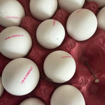 Şok Markette Paslanmış Çivi İçeren Yumurta Paketi