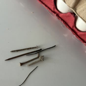 Şok Markette Paslanmış Çivi İçeren Yumurta Paketi