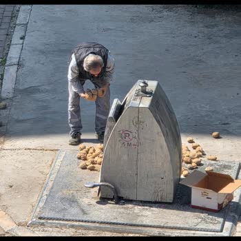 A101 Marketinde Patates Ve Soğanların Çöpe Atılması Gıda İsrafına Yol Açıyor
