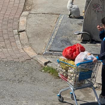 A101 Marketinde Patates Ve Soğanların Çöpe Atılması Gıda İsrafına Yol Açıyor
