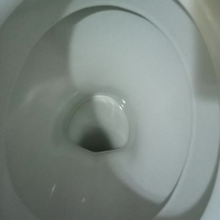 Klozet Gri Renk Sorunu Ve Şirkette Cevapsızlık