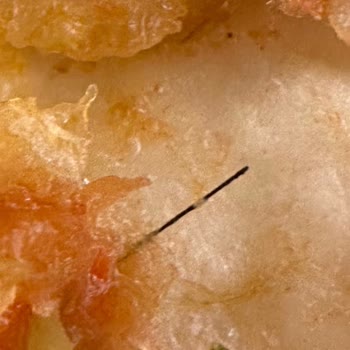 İlgisiz Müşteri Hizmeti Ve Hijyen Sorunları Nedeniyle 850 TL'lik Sipariş İade Edilmedi