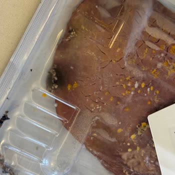 Migros Sanal Market'te Küflü Füme Et Ürünü Misafirler Önünde Mahcubiyet Yarattı, Telafi Bekleniyor