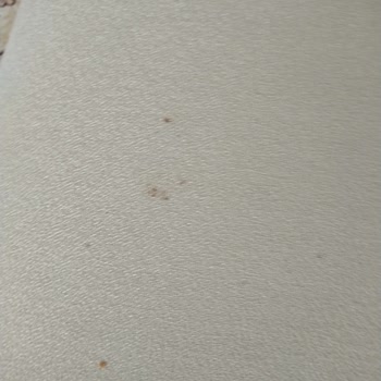 İstikbal Arena Koltuk Takımının Kalitesiz Kumaşı ve Yardımsız Müşteri Hizmetleri