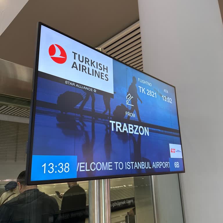 İstanbul Havalimanı'nda Trabzon Uçuşlarının Uzak Kapıya Yerleştirilmesi Ve Bagaj Gecikmesi