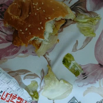 Boş Burgerler Ve Bozuk Marul İçin İade Talebi