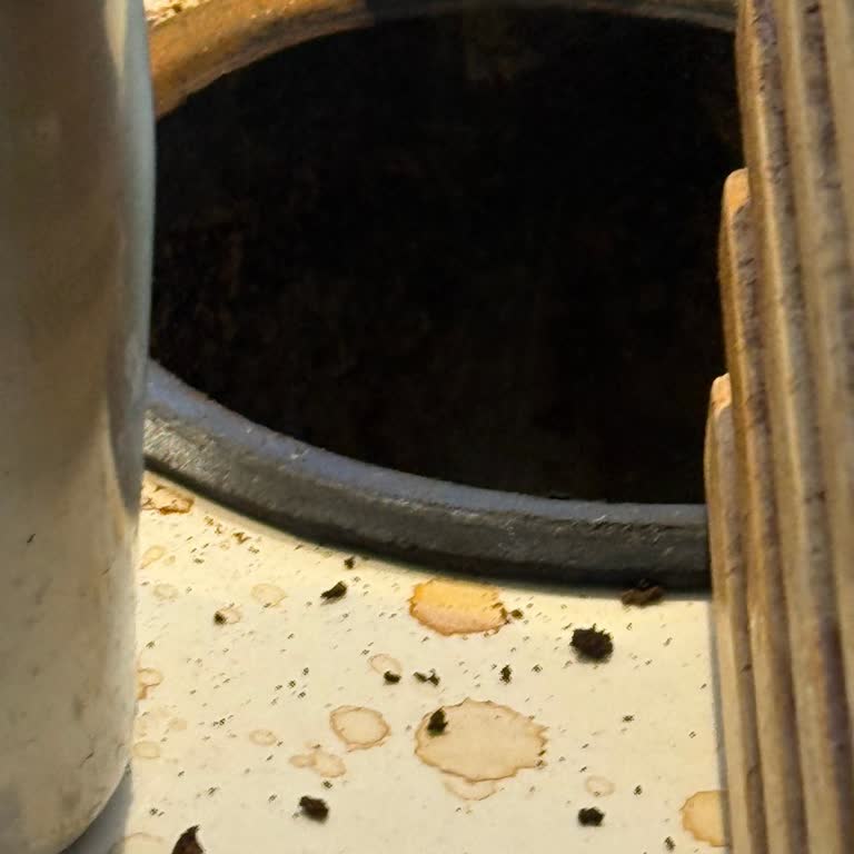 Mudanya’daki Colombia Coffee’da Hijyen Ve Temizlik İhlalleri Müşteri Sağlığını Tehlikeye Atıyor