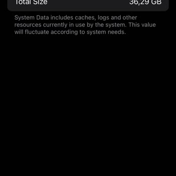 iPhone 12 System Data Taking 36 GB on 64 GB Storage Issue