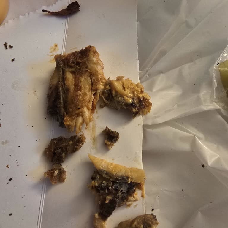 Mogaf Dönerden Tavuk Burrito’da Yanık Parçalar Ve Yetersiz Telafi Teklifi