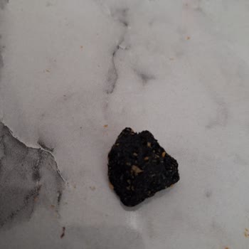 Patos Critos 3D Cipsinde Yanmış Kömür Parçası Ve Bayatlık