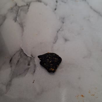 Patos Critos 3D Cipsinde Yanmış Kömür Parçası Ve Bayatlık