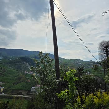 Ev Önündeki Türk Telekom Direğinin Kaldırılması Ve Taşınması Talebi