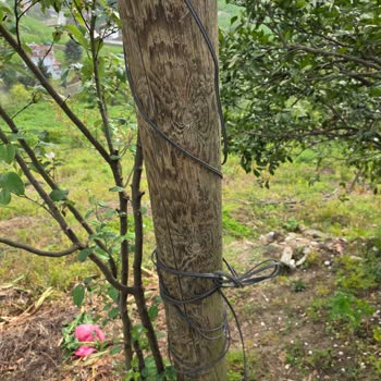 Ev Önündeki Türk Telekom Direğinin Kaldırılması Ve Taşınması Talebi