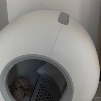 Xenon Smart Kedi Tuvaletinde Tekrarlayan Dönme Arızası Ve Çözüm Eksikliği