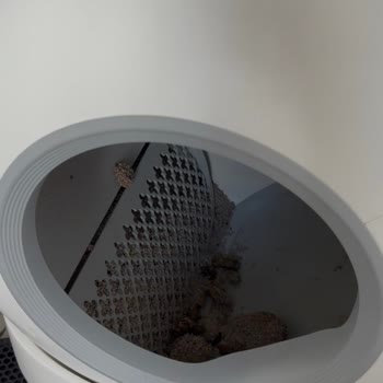 Xenon Smart Kedi Tuvaletinde Tekrarlayan Dönme Arızası Ve Çözüm Eksikliği