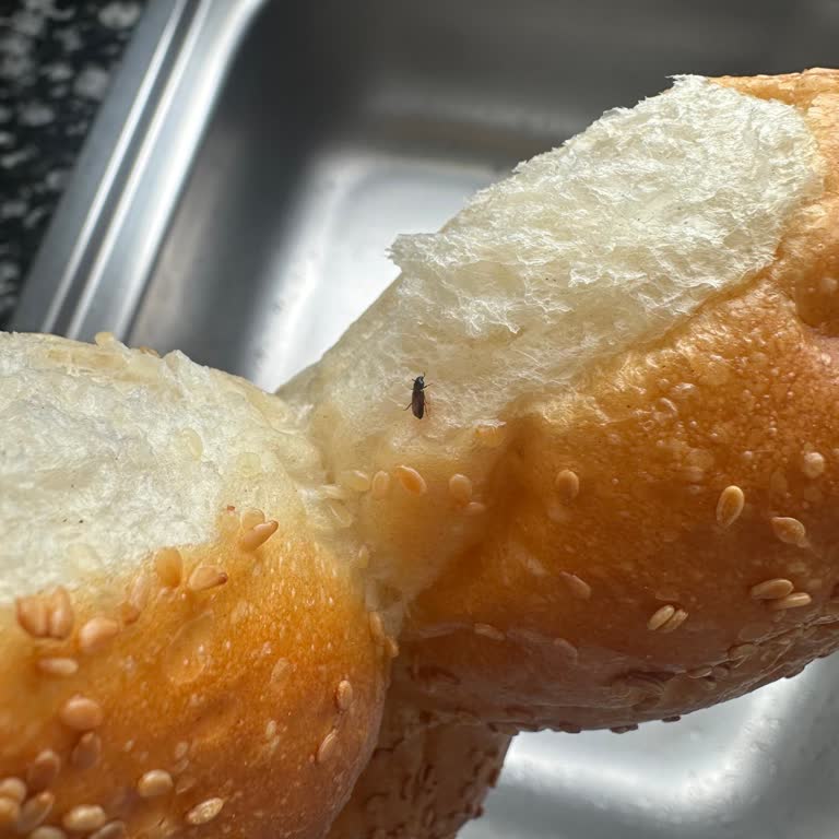 Böcekli Bayat Ekmek Teslimatı İçin Migros'tan Hijyen İhlali Ve İade Talebi