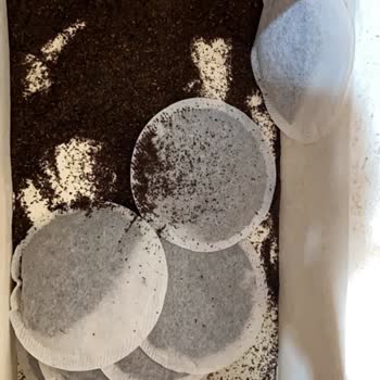 Lipton Çay Poşetlerinde Yırtık Ve Dökülme, Ürün Değişimi Talebi