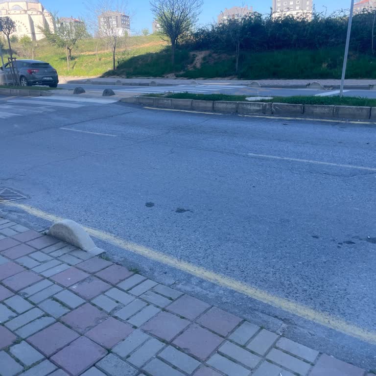 Sürat Kargo Şoförünün Tehlikeli Sürüşü Ve Disiplin Talebi