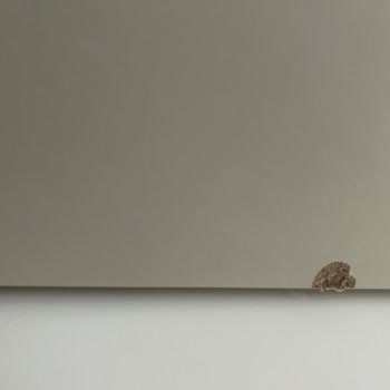 Görgülü Mobilya’da Hatalı Boyama, Yanlış Kurulum Ve Uzun Süreli Cevapsızlık Şikayeti